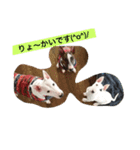 ブルテリー（個別スタンプ：2）