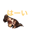 まめとお友達（個別スタンプ：2）