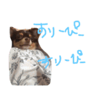 まめとお友達（個別スタンプ：3）