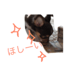 まめとお友達（個別スタンプ：7）