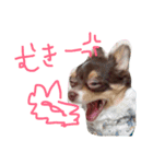 まめとお友達（個別スタンプ：10）