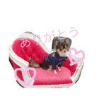 まめとお友達（個別スタンプ：21）