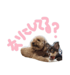 まめとお友達（個別スタンプ：23）