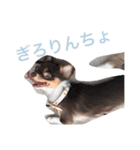 まめとお友達（個別スタンプ：24）