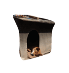 もみじ犬（個別スタンプ：3）