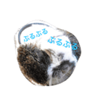 関西弁うさぎ、リッチ。①（個別スタンプ：1）