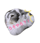 関西弁うさぎ、リッチ。①（個別スタンプ：2）