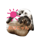 関西弁うさぎ、リッチ。①（個別スタンプ：6）