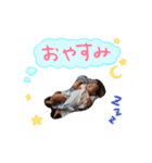 りったまの日常（個別スタンプ：2）