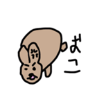 よろしくうさぎ（個別スタンプ：8）