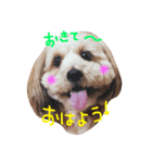 ぼくもまぜて（個別スタンプ：1）