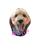 ぼくもまぜて（個別スタンプ：2）