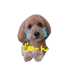 ぼくもまぜて（個別スタンプ：7）