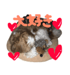 シーズーの生活（個別スタンプ：23）