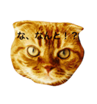 凛のきもち 24（個別スタンプ：2）