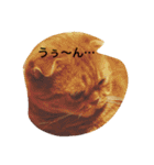 凛のきもち 24（個別スタンプ：3）