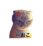 凛のきもち 24（個別スタンプ：4）
