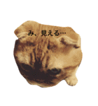 凛のきもち 24（個別スタンプ：8）