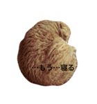 凛のきもち 24（個別スタンプ：12）