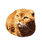 凛のきもち 24（個別スタンプ：18）