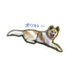 雑種犬まちこ（個別スタンプ：8）