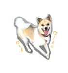 雑種犬まちこ（個別スタンプ：12）