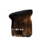 ちょこの日常。〜コメント付き〜（個別スタンプ：3）