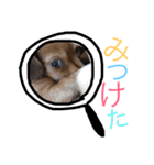 ちょこの日常。〜コメント付き〜（個別スタンプ：8）