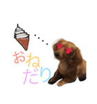 ちょこの日常。〜コメント付き〜（個別スタンプ：16）