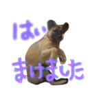 ココちゃん〜可愛い〜（個別スタンプ：5）