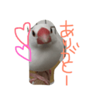 TAHARAnoTORI（個別スタンプ：7）