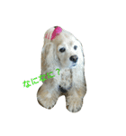 お嬢様犬の日常（個別スタンプ：7）