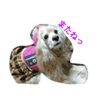 お嬢様犬の日常（個別スタンプ：16）