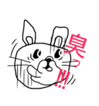 挑発的なうさぎ（個別スタンプ：12）