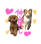 シャノンとぽろん（個別スタンプ：5）