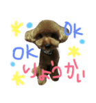 シャノンとぽろん（個別スタンプ：6）