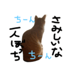シャノンとぽろん（個別スタンプ：7）
