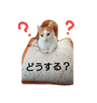 うにっこスタンプ（個別スタンプ：17）