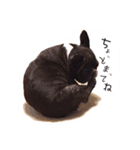 僕ちくわ（個別スタンプ：1）
