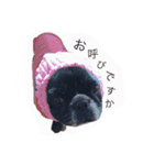 僕ちくわ（個別スタンプ：11）
