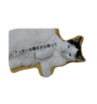 Poisonous tongue cat.（個別スタンプ：1）