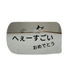 Poisonous tongue cat.（個別スタンプ：5）
