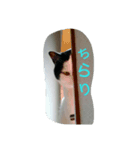 Poisonous tongue cat.（個別スタンプ：7）