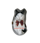 Poisonous tongue cat.（個別スタンプ：8）
