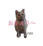 福にゃんの独り言（個別スタンプ：1）