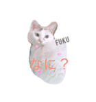 福にゃんの独り言（個別スタンプ：2）