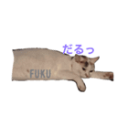 福にゃんの独り言（個別スタンプ：4）