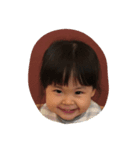 kotectan（個別スタンプ：1）