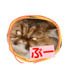 うちのこ一番（個別スタンプ：37）