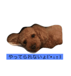 ぷっぷのつぶやき（個別スタンプ：7）